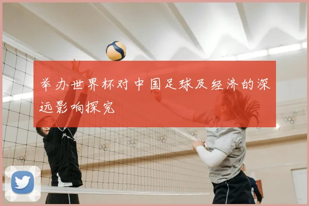 举办世界杯对中国足球及经济的深远影响探究