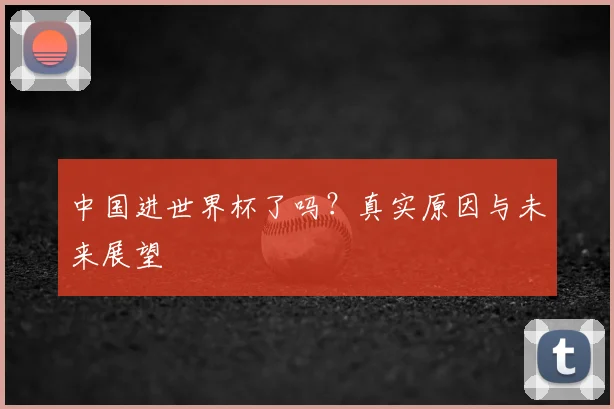 中国进世界杯了吗?真实原因与未来展望