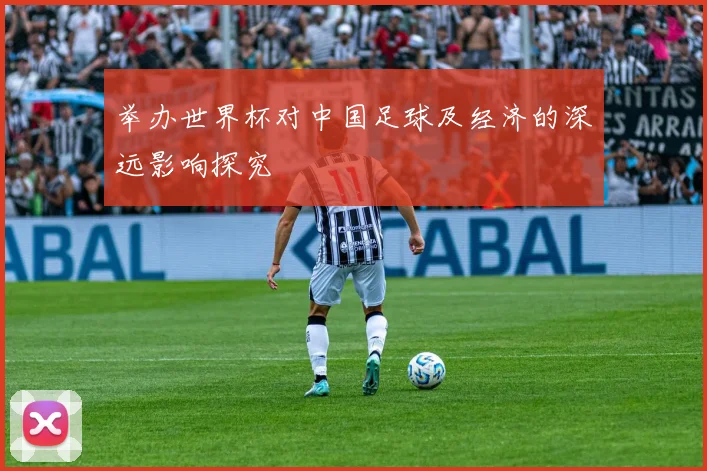 举办世界杯对中国足球及经济的深远影响探究