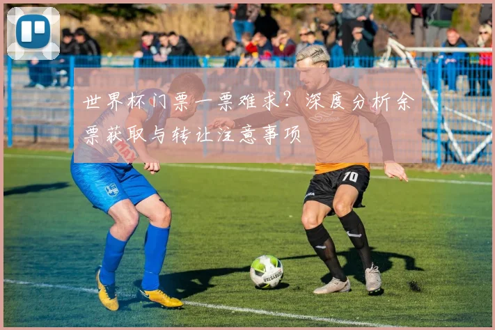 世界杯门票一票难求?深度分析余票获取与转让注意事项
