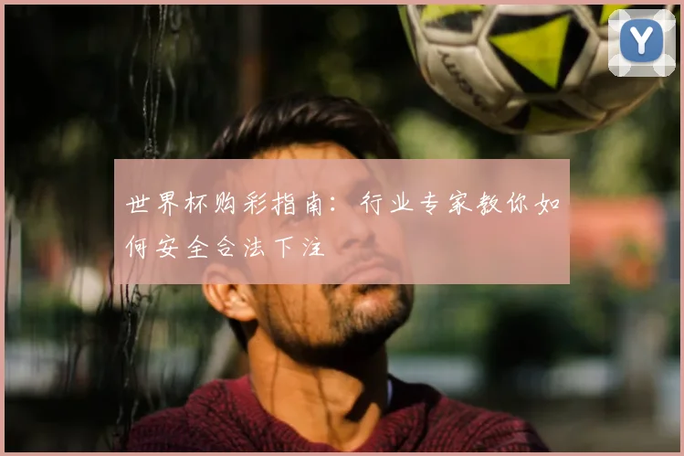 世界杯购彩指南:行业专家教你如何安全合法下注