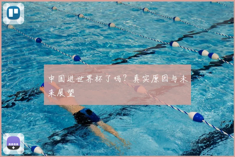 中国进世界杯了吗?真实原因与未来展望