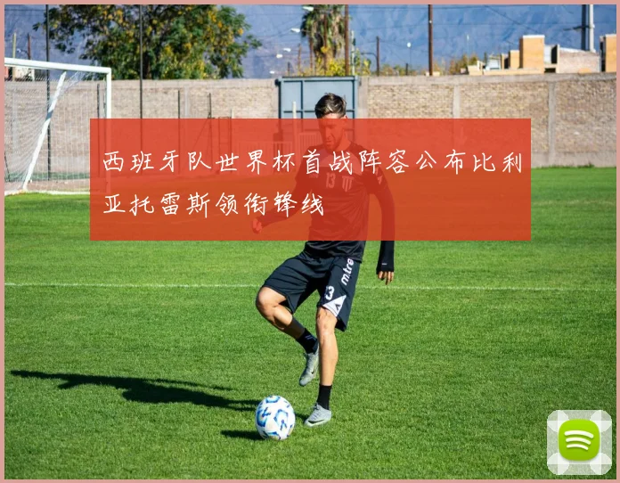 西班牙队世界杯首战阵容公布比利亚托雷斯领衔锋线