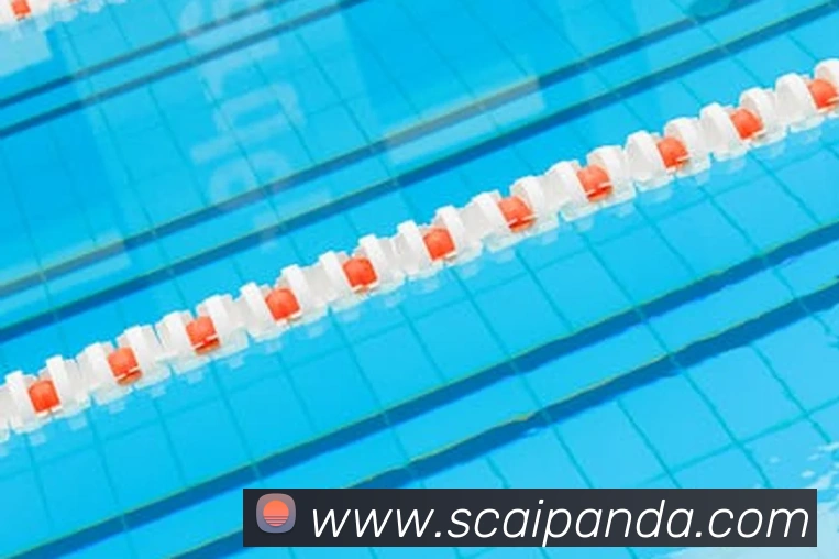 巅峰国际app注册官网服务体系